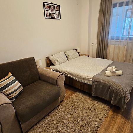 Cozy Studio Brăila Dış mekan fotoğraf