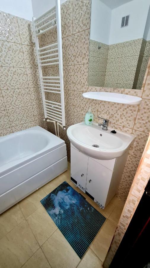 Cozy Studio Brăila Dış mekan fotoğraf